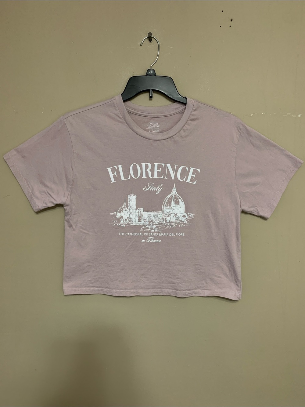 Organic Collective Women’s Florence Italy Graphic Crop Tee - Dusty Pink Large